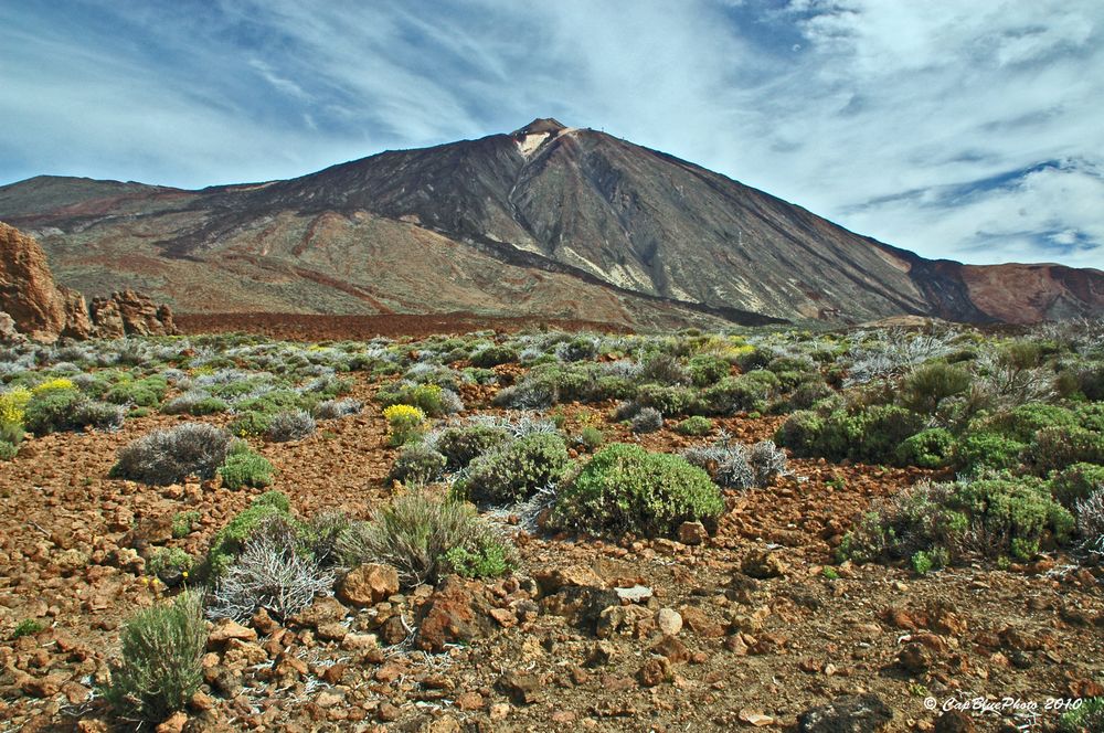 Teide und die Las Canadas