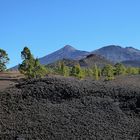 Teide und Pico Vejo