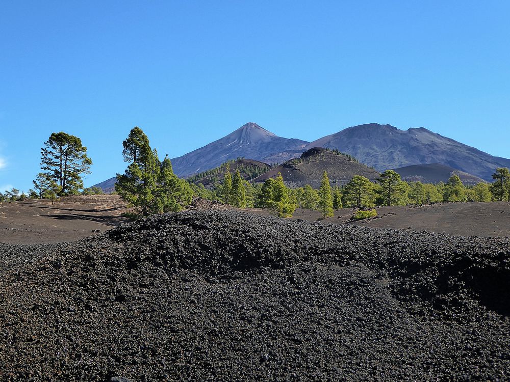 Teide und Pico Vejo