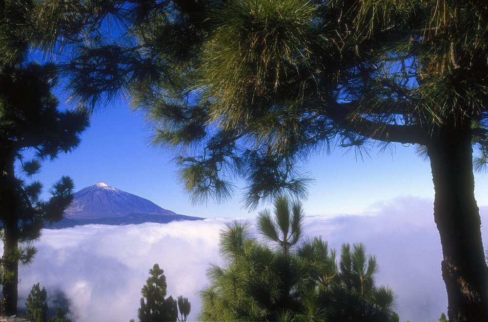 Teide und Wolken