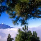 Teide und Wolken