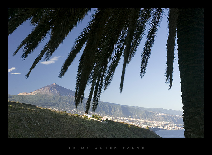 Teide unter Palme