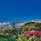 Teide Vulkan