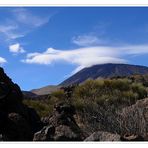 Teide-Wölkchen