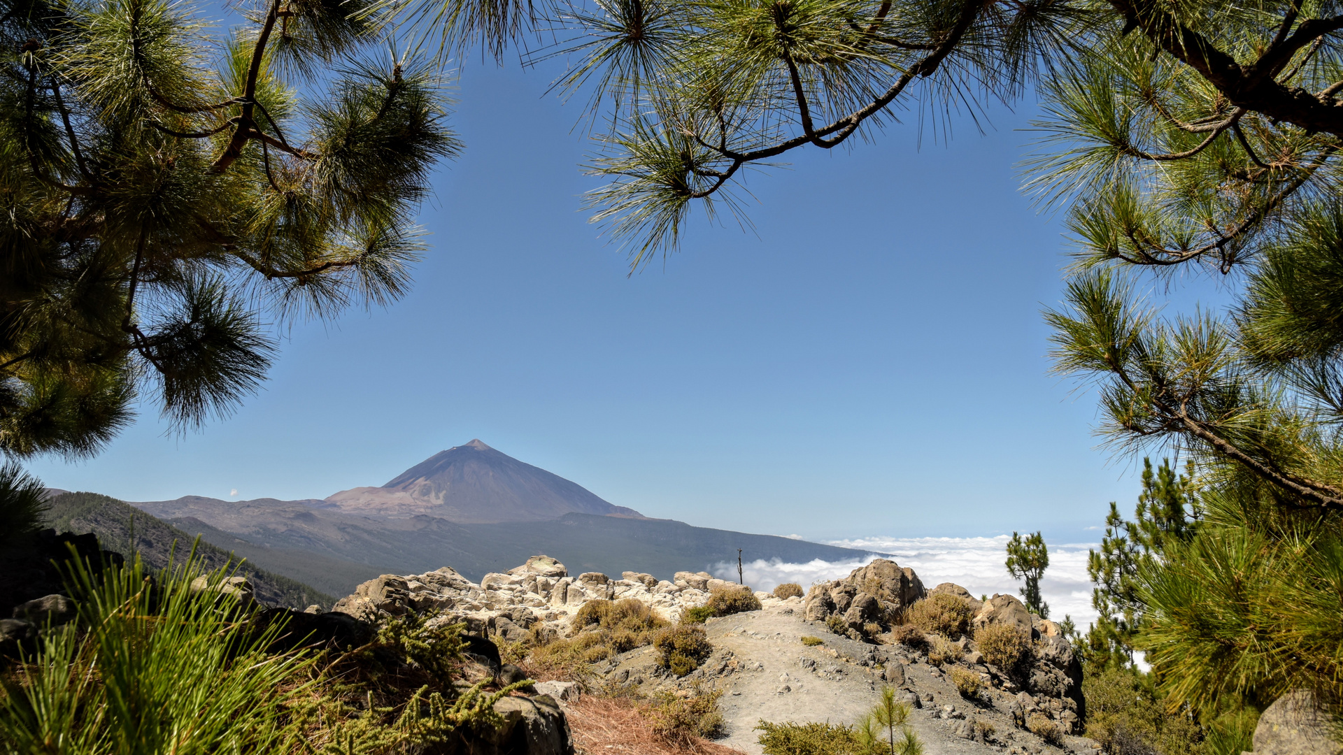 Teideblick Teneriffa