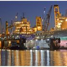 Teil -- 16 -- : Maritime Arbeitswelten in Bremerhaven am 9.12.2015 „Volle Docks ..voller Einsatz "