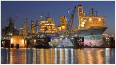 Teil -- 16 -- : Maritime Arbeitswelten in Bremerhaven am 9.12.2015 „Volle Docks ..voller Einsatz "