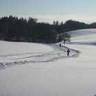 Teil der Deuchelrieder Loipe