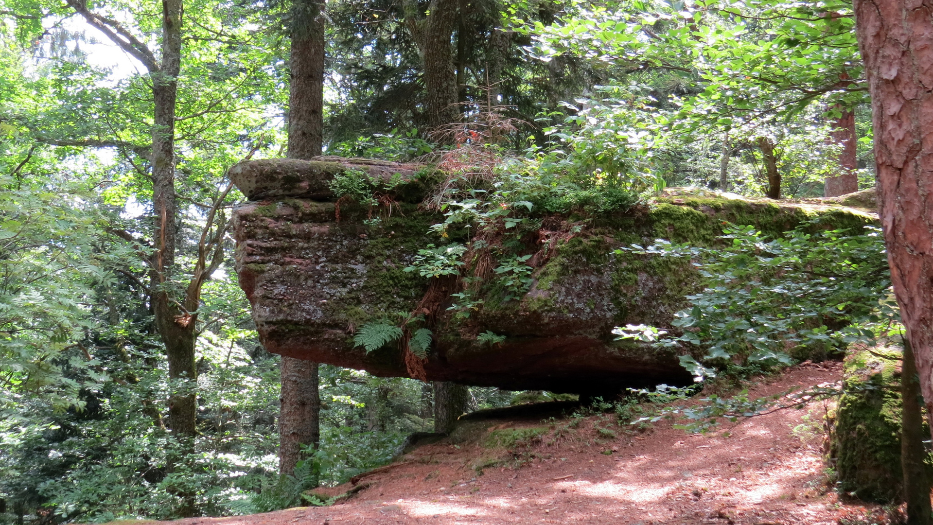 Teil der Heidenmauer am Odilienberg, Elsass