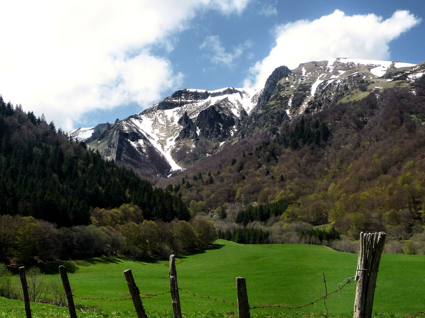 Teil der Natur