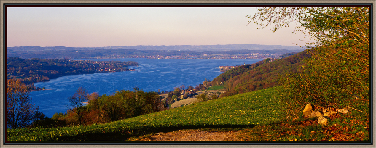 Teil des Bodensees von Schweizer Seite