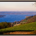 Teil des Bodensees von Schweizer Seite