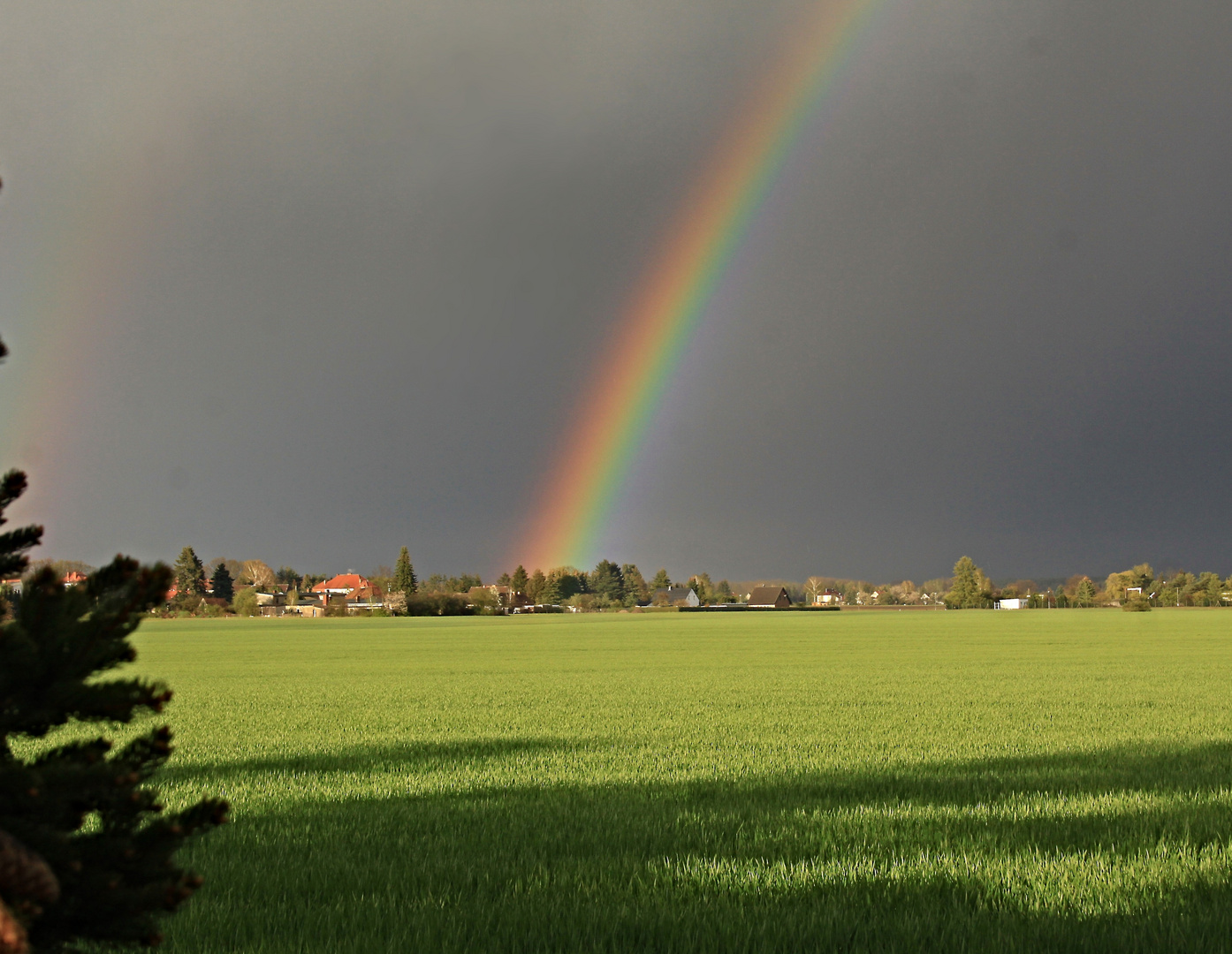 Teil des Regenbogens