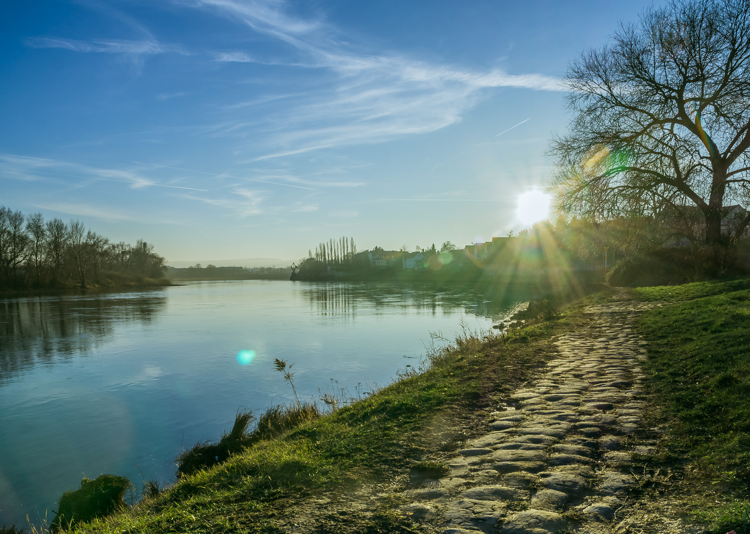 Teil des Treidlerpfades in Dresden