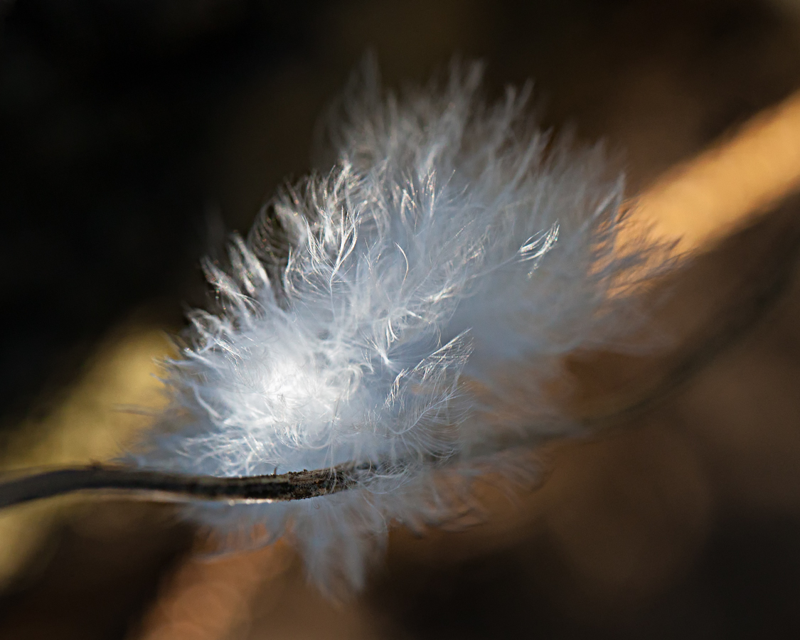 "Teil des Winterkleides" oder "Platz gemacht für die Frühjahrsmode"