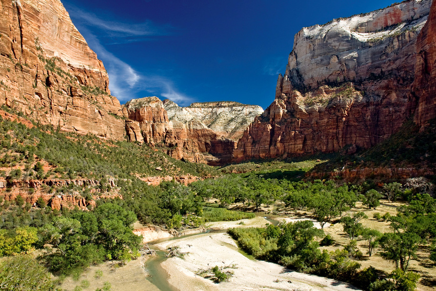 Teil des Zion Canyon - Zion N.P. - Utah - USA