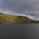 "Teil-Regenbogen über Rüdesheim"