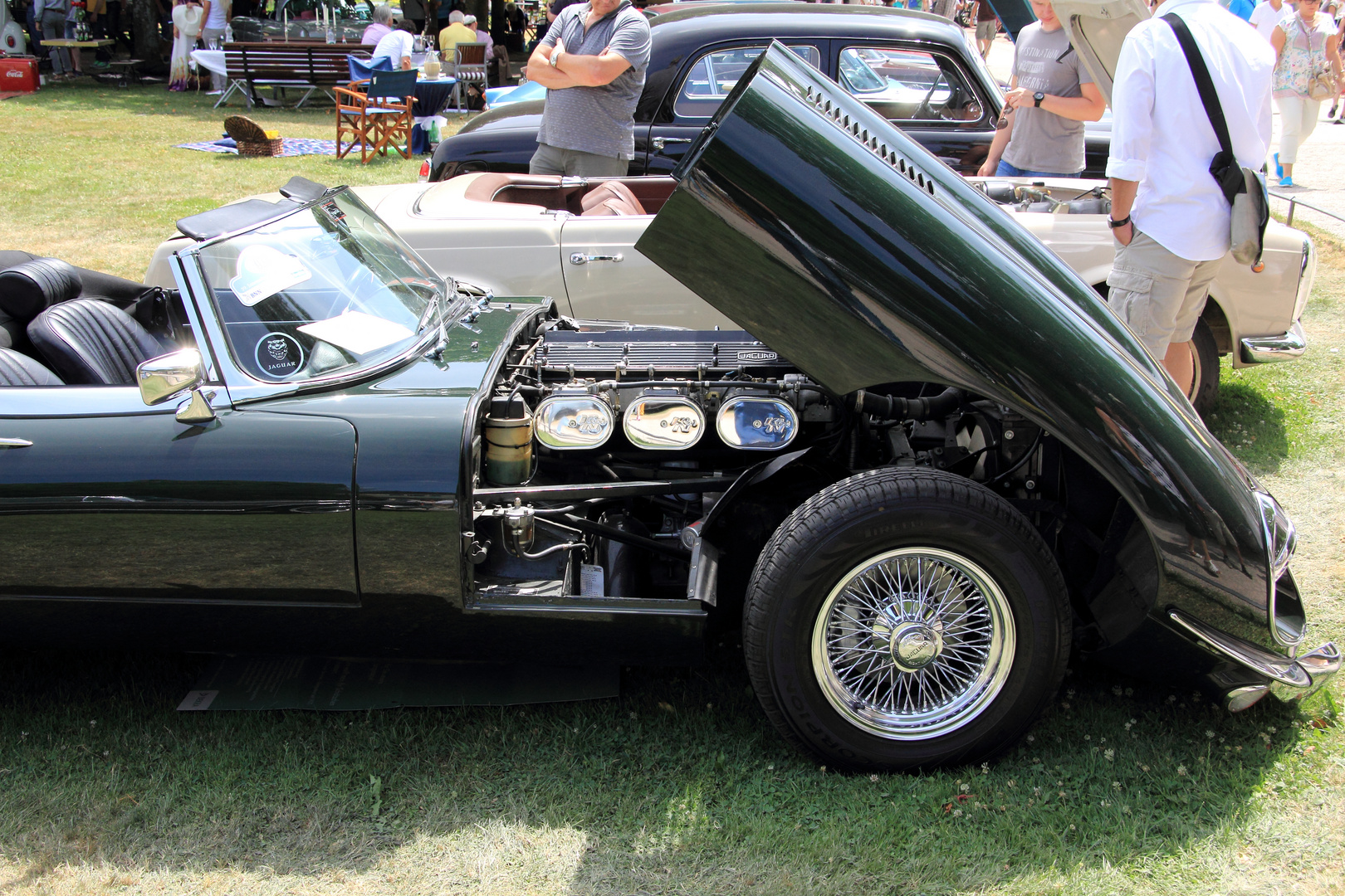 Teil-Seitenansicht eines Jaguar Type E mit geöffneter Motorhaube