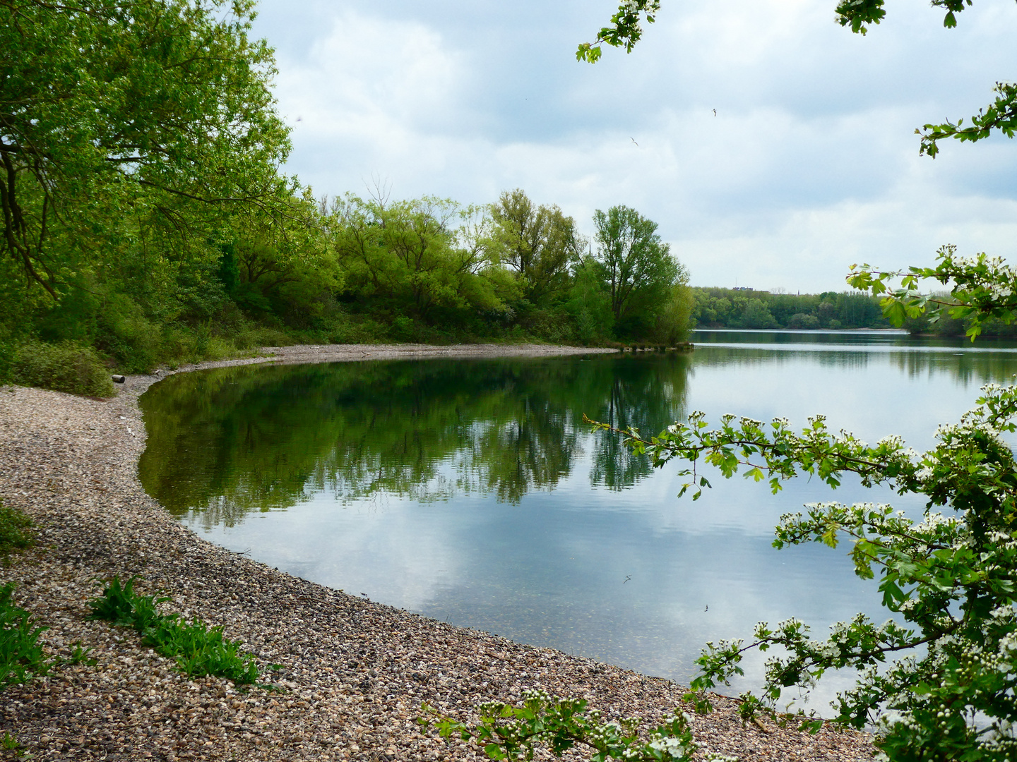 Teil vom Aue See in Wesel