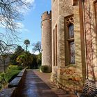 Teilansicht / Dunster Castle I