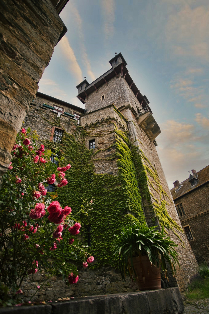 Teilansicht  Schloss Braunfels 