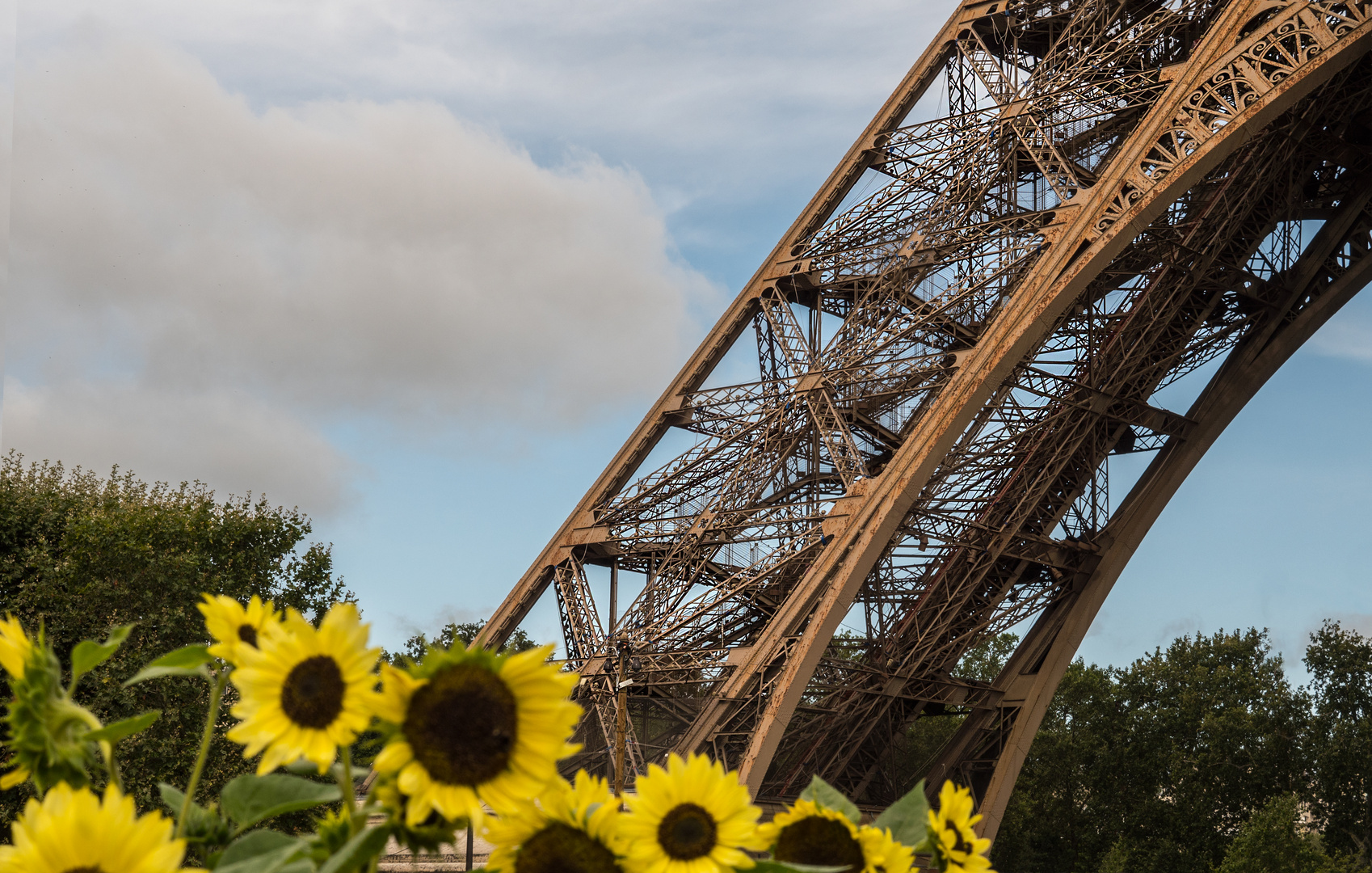 Teilansicht Tour Eiffel, Paris