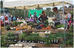 Teilnehmer am Herbstlichen Markt