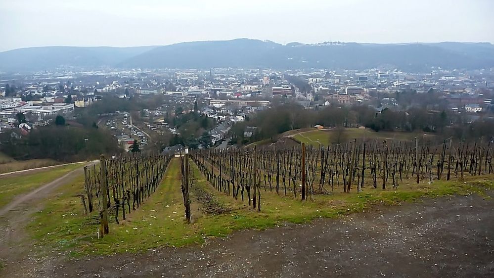 Teilpanorama von Trier 1