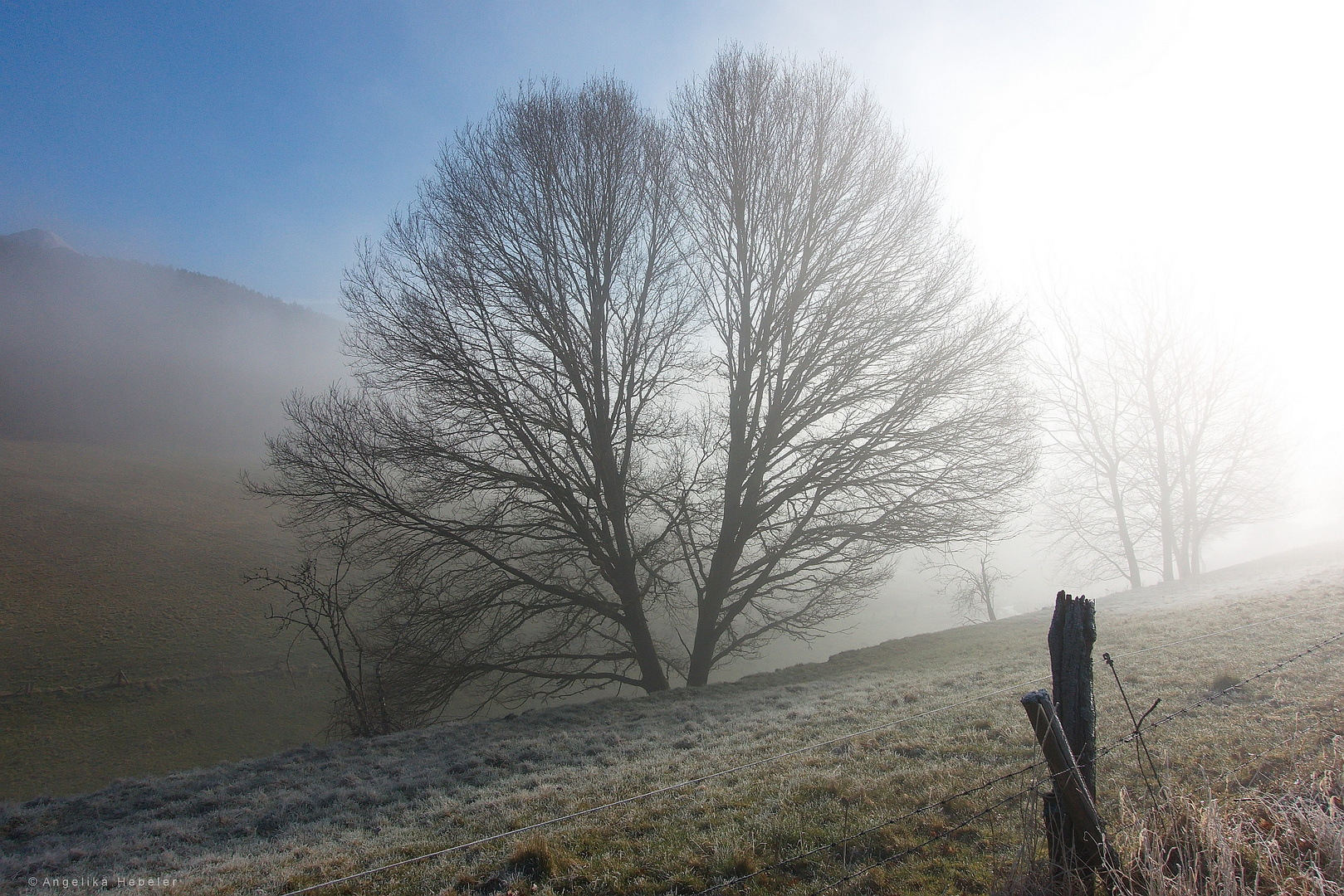 teils neblig - teils sonnig