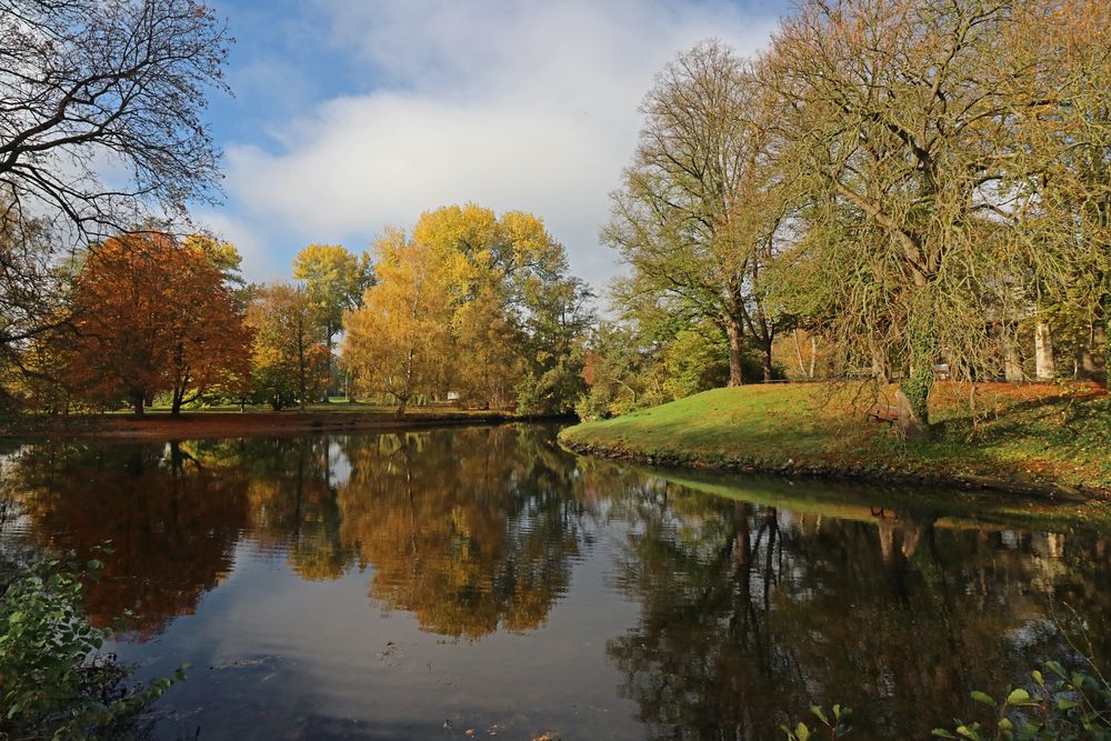 Teilung der Oker Foto & Bild | landschaften, wasser, bäume Bilder auf ...