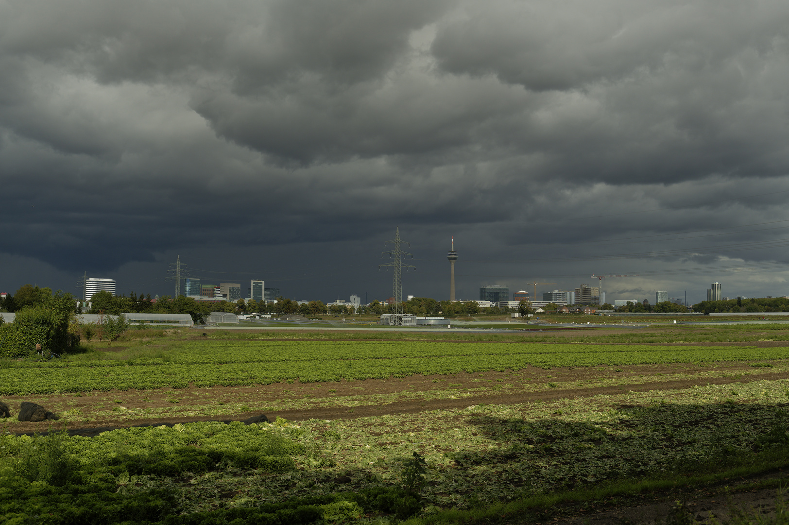 teilweise bewölkt über Düsseldorf ..