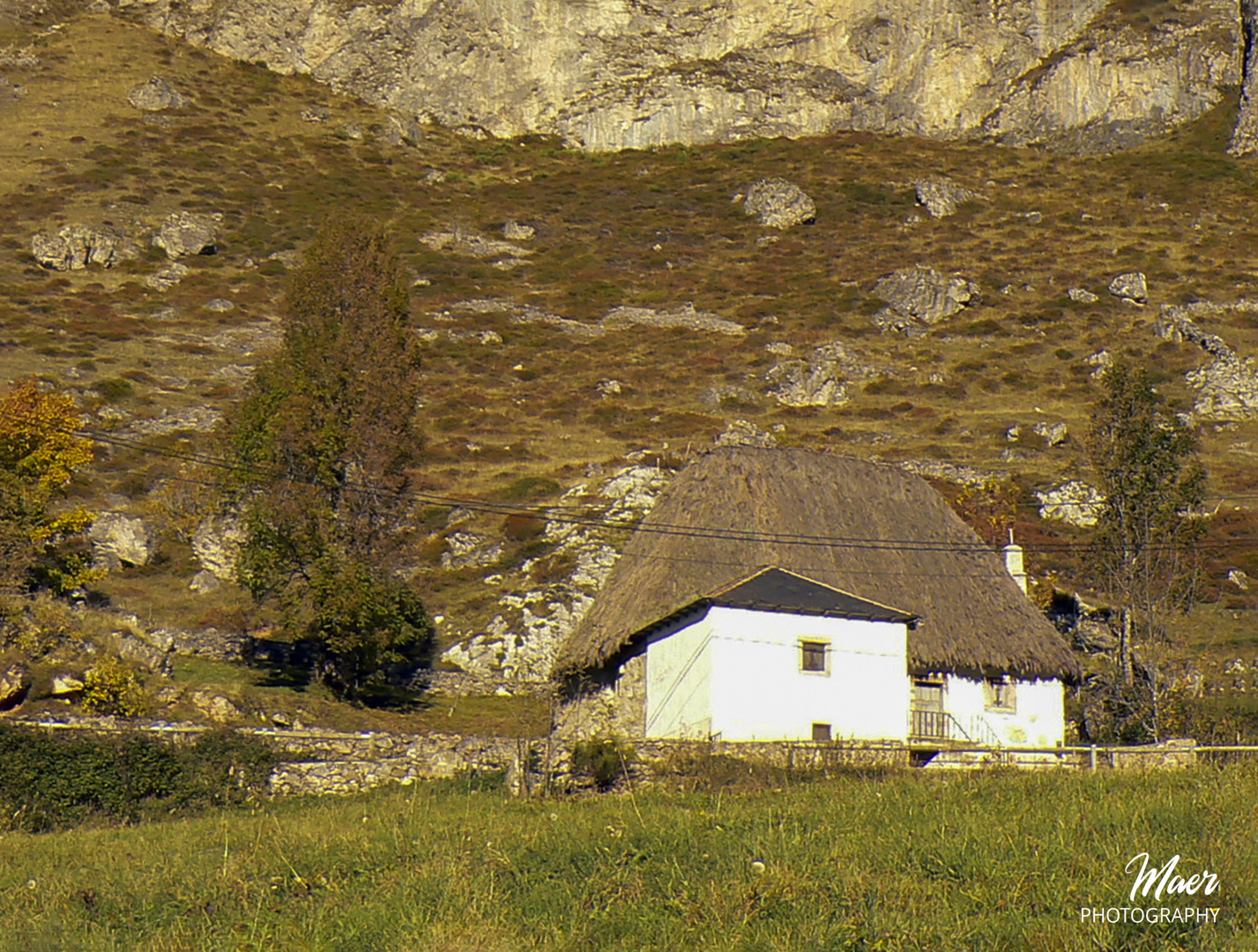 Teito hecho de escobas en Somiedo 2007. Asturias.