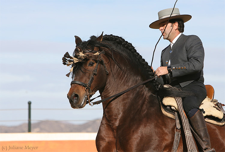 Tejedor und Juan Antonio