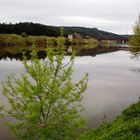 Tejo river