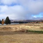 Tekapo lake - New zealand