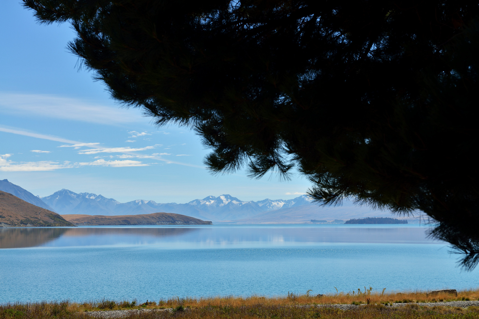 Tekapo See: Ufer