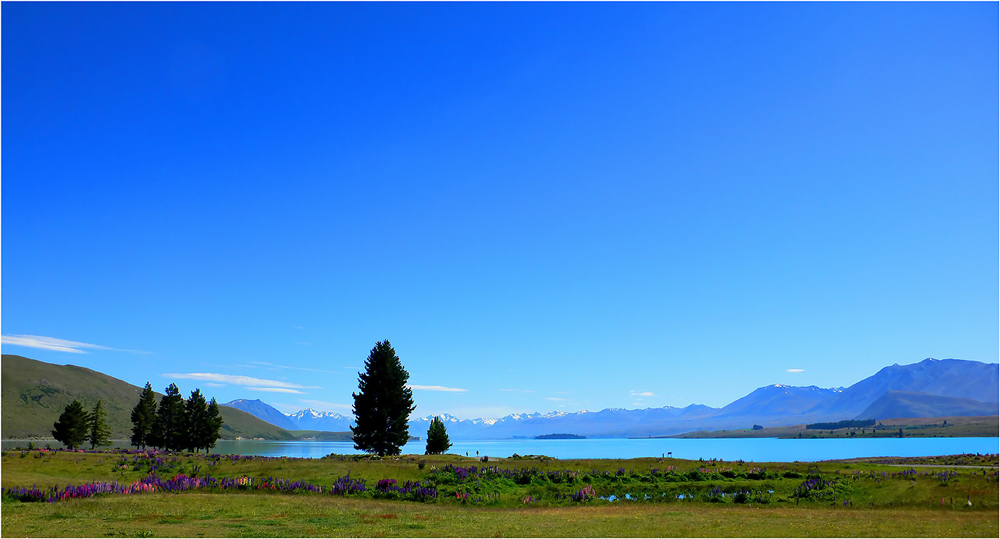 Tekapo - Viewpoint