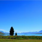 Tekapo - Viewpoint