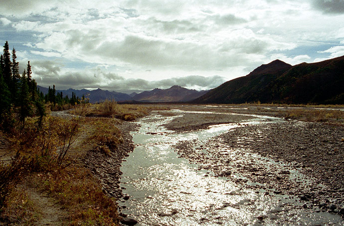 Teklanika River