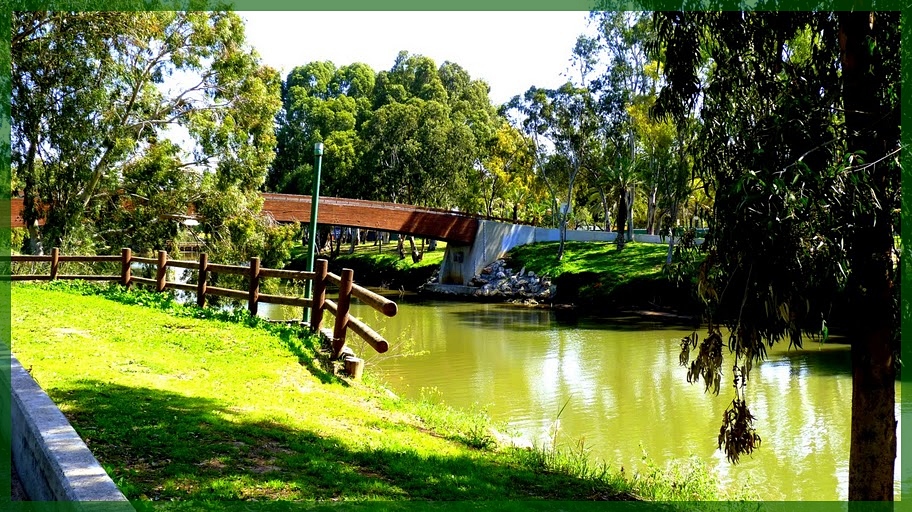 TEL AVIV -THE HAYARKON PARK