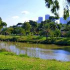 TEL AVIV-YARKON PARK