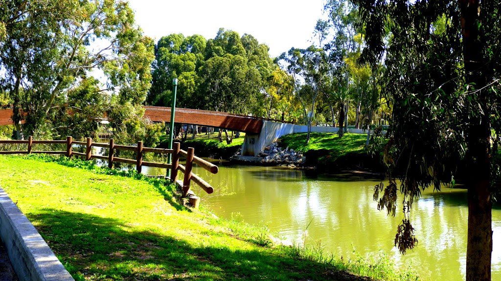 TEL AVIV -YARKON PARK