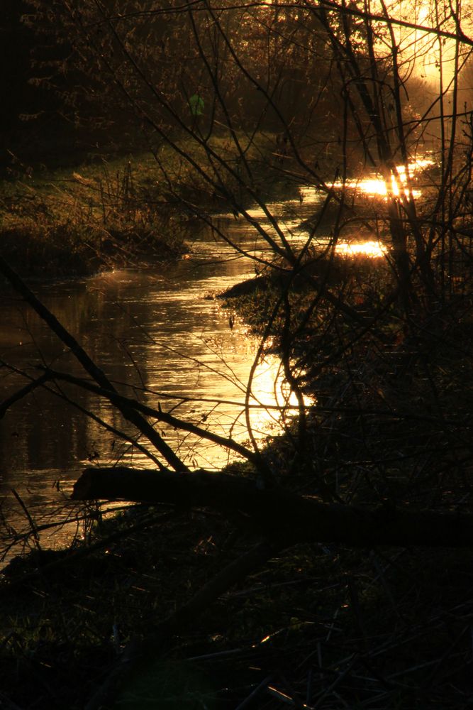 tel un ruban de lumière