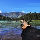 Telaga Warna Dieng