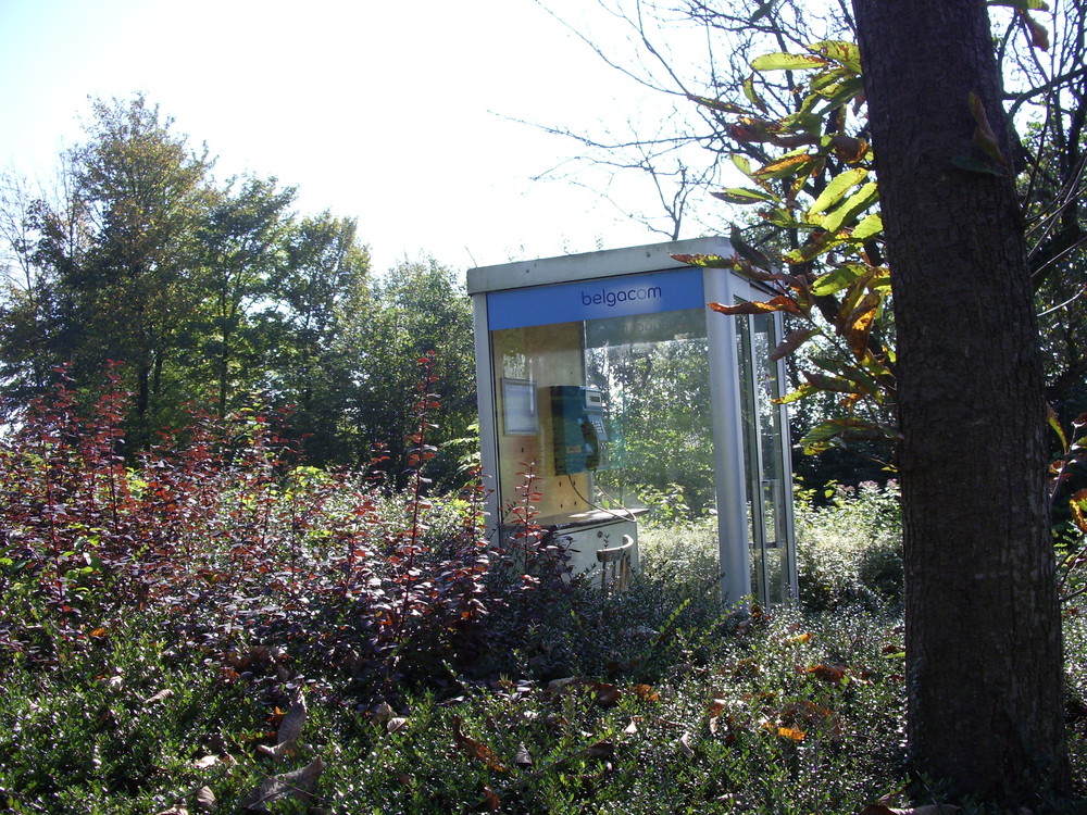 telefonieren im grünen!