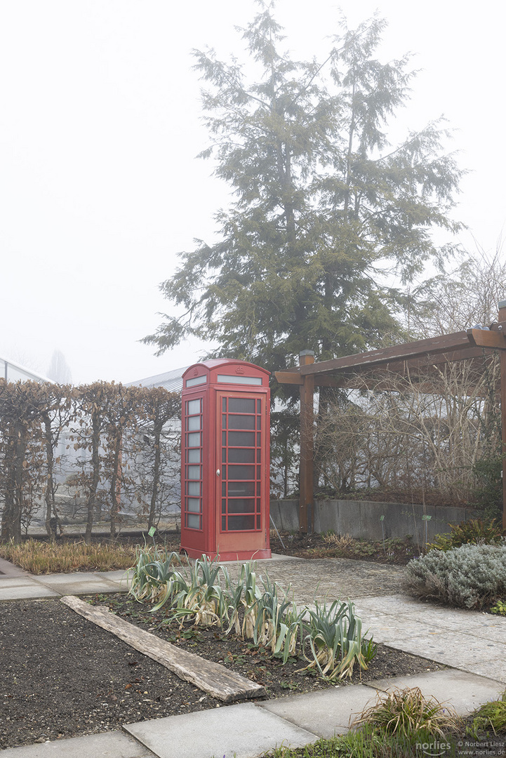 Telefonzelle im Nebel