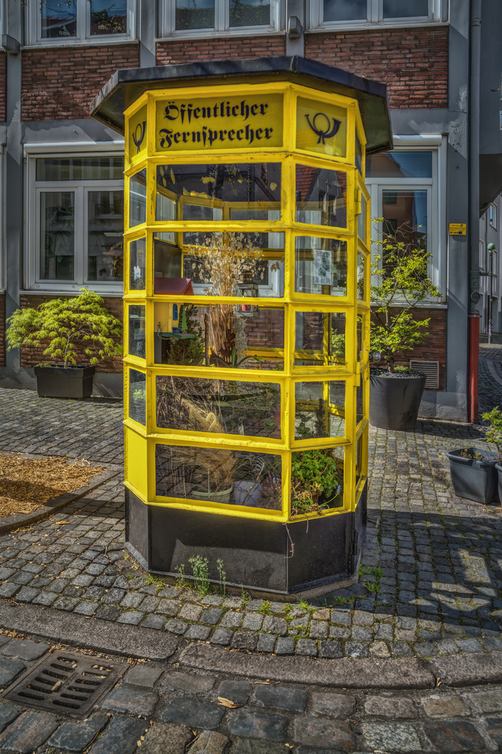 Telefonzelle mit neuen Bewohnern