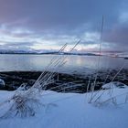 Telegrafbukta - Tromsø - Norwegen