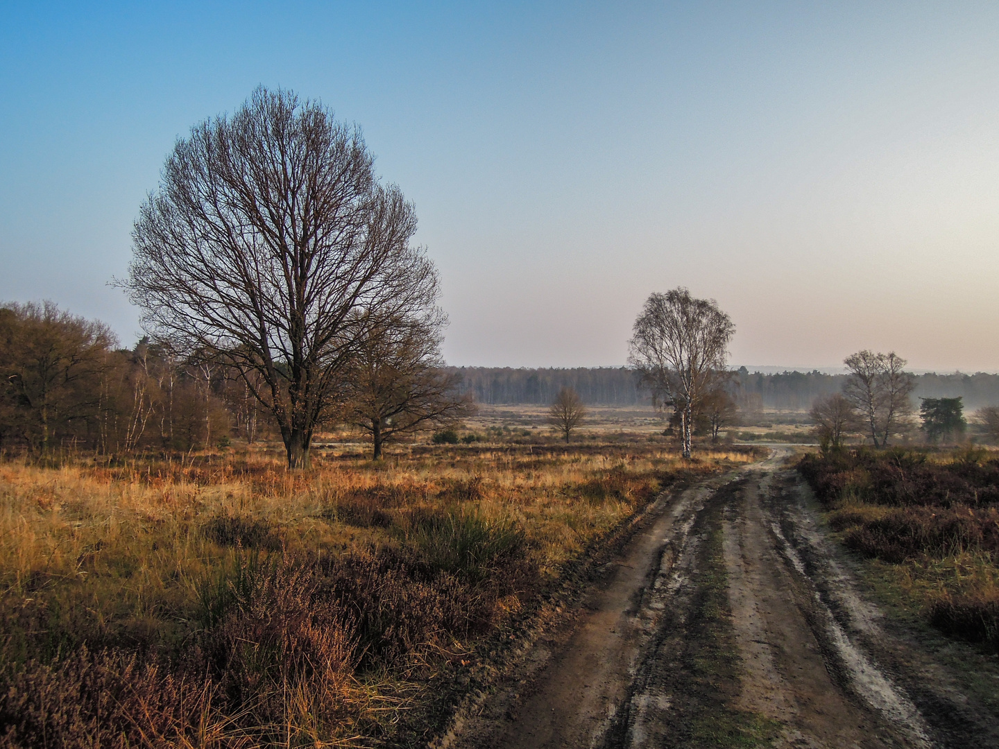 Telegrafen Heide