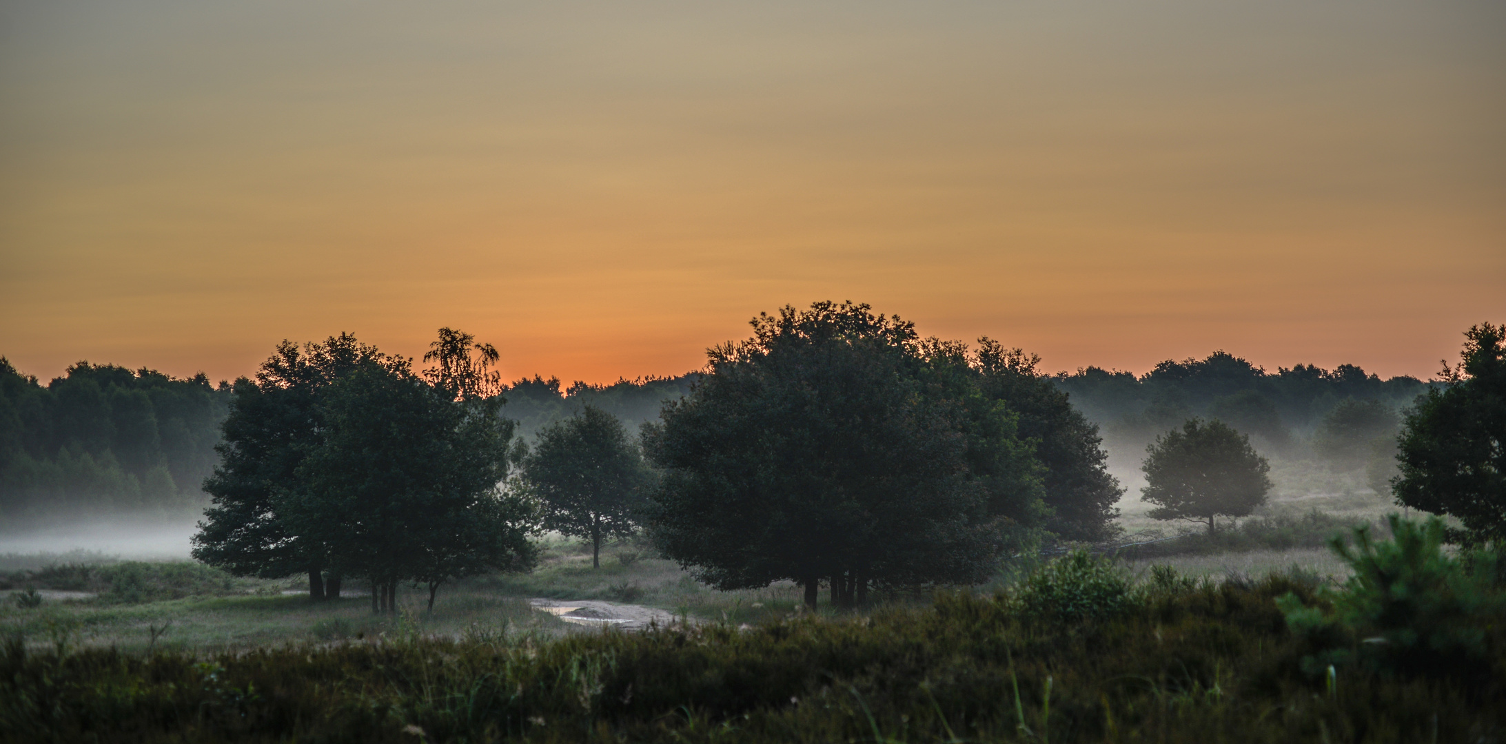 Telegrafen Heide